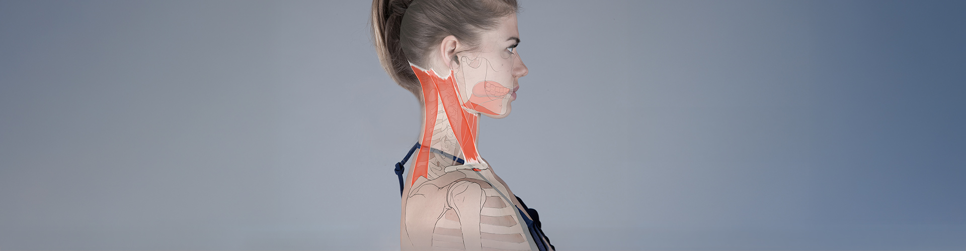 Therapie aufrechter Nacken